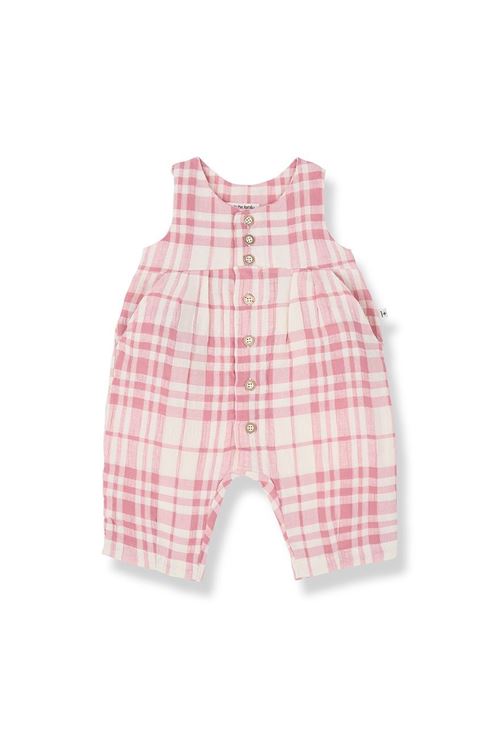  1+ in the family | MORERATRAWBERRY